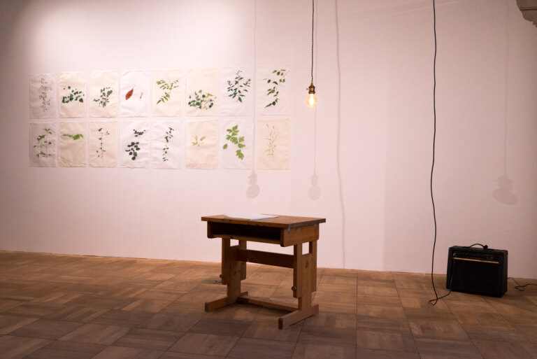 移転整備プレ事業 教室のフィロソフィー Vol.14 森 夕香 展「蔓延る脈」